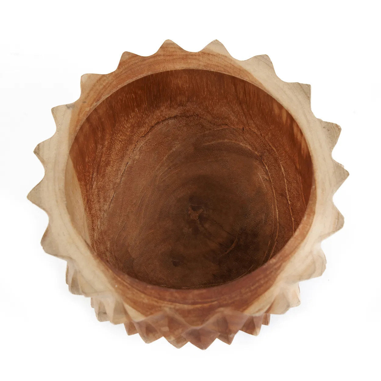 De duriankom van teakwortel - S