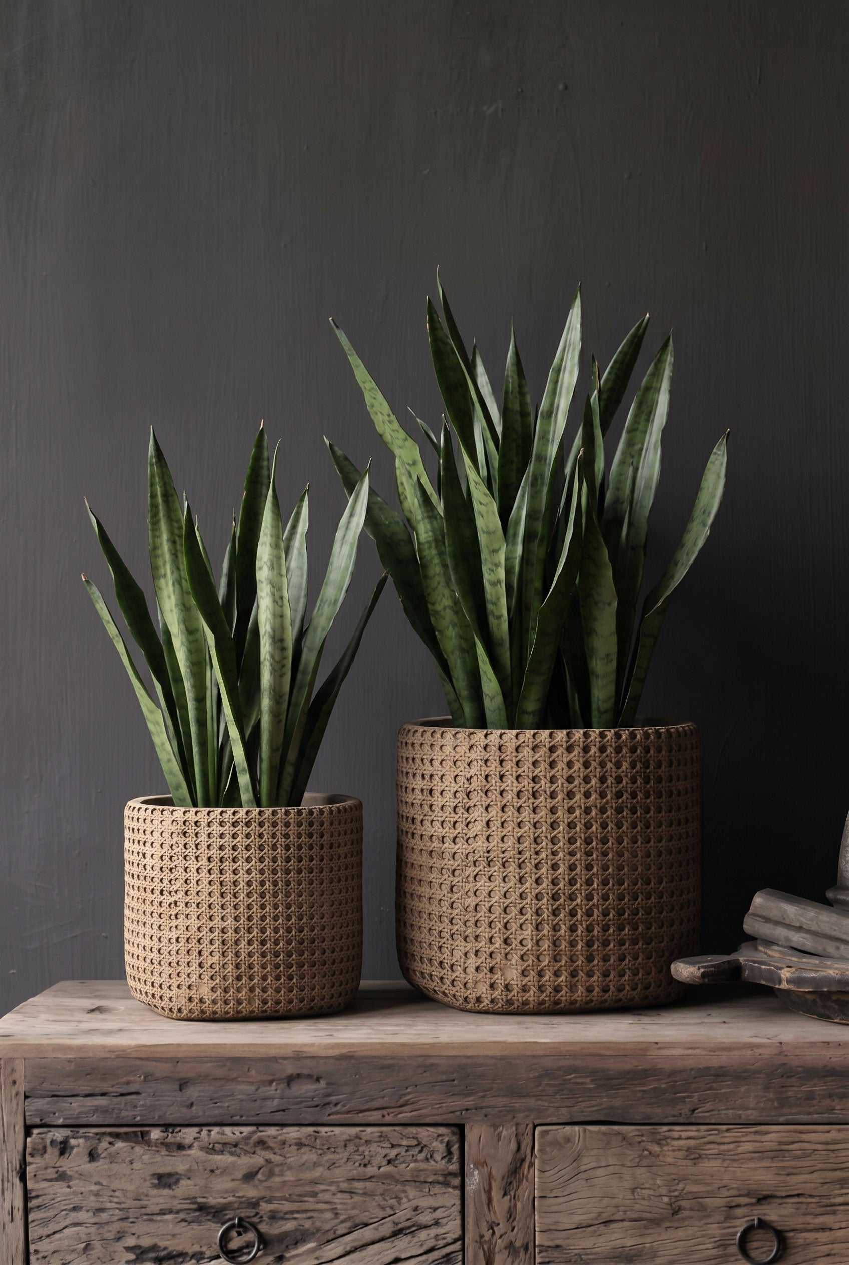 De RattanRock Plantenbak - Naturel - XL