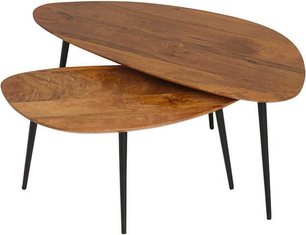 Salontafel, set van 2, organisch, gember