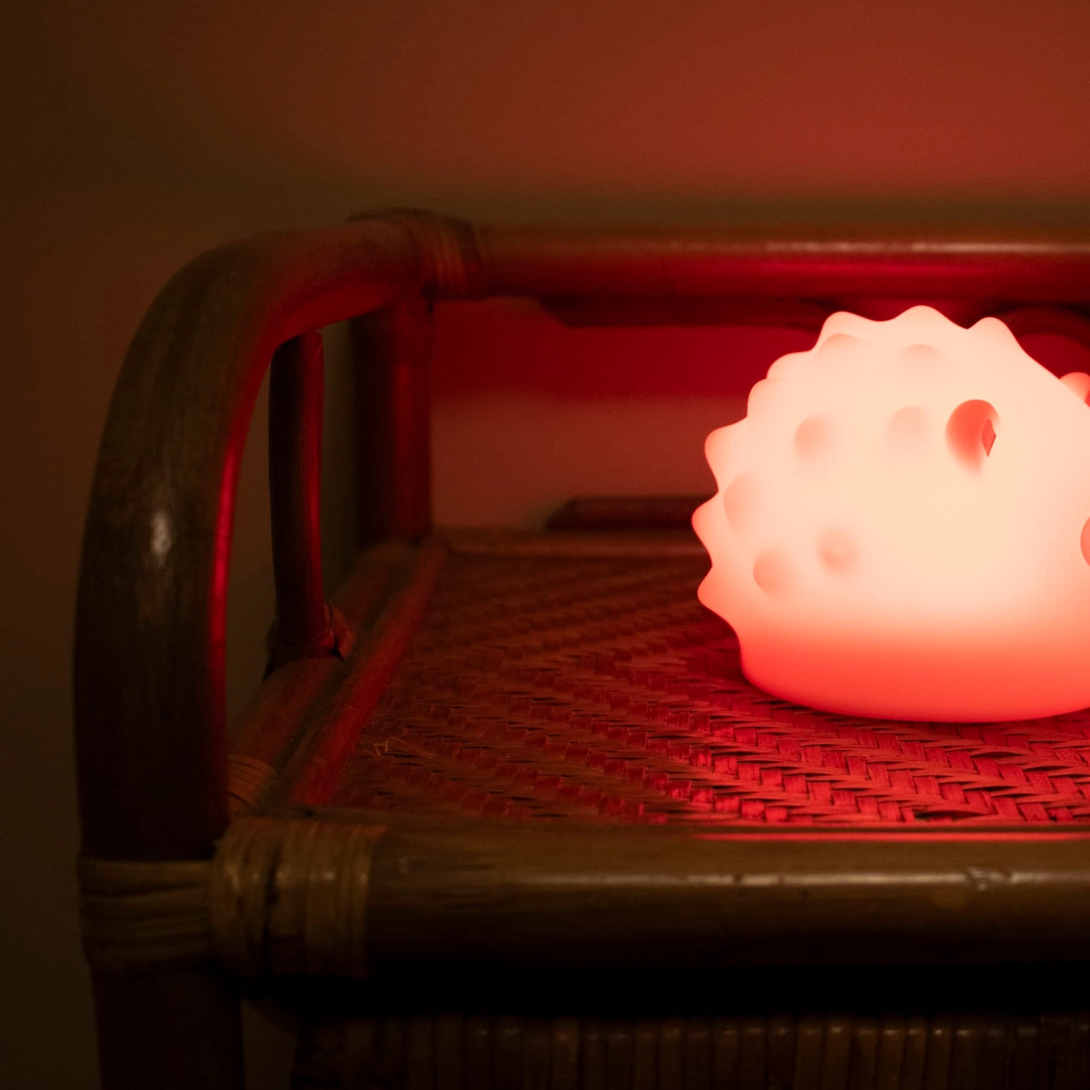 LED-nachtlamp - Henning het egeltje