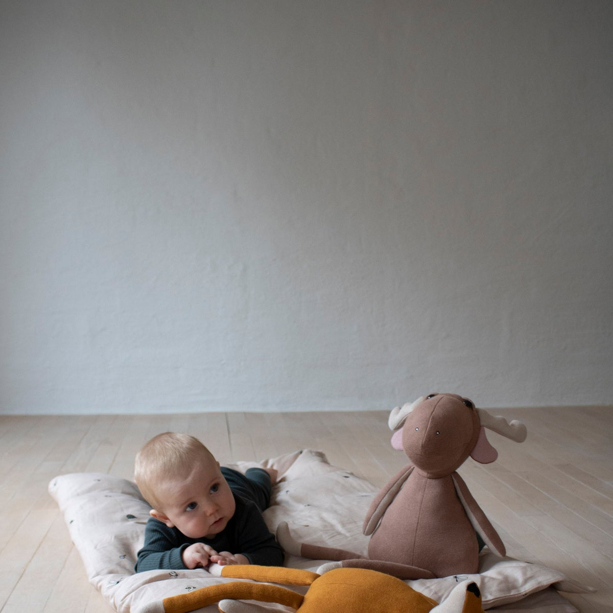 Teddy - Milo de bruine eland