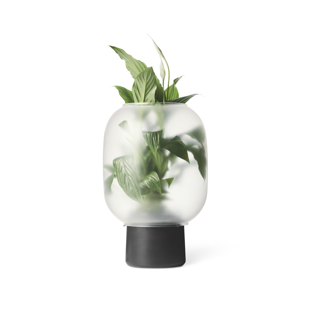 NEBL grote zwarte plantenbak