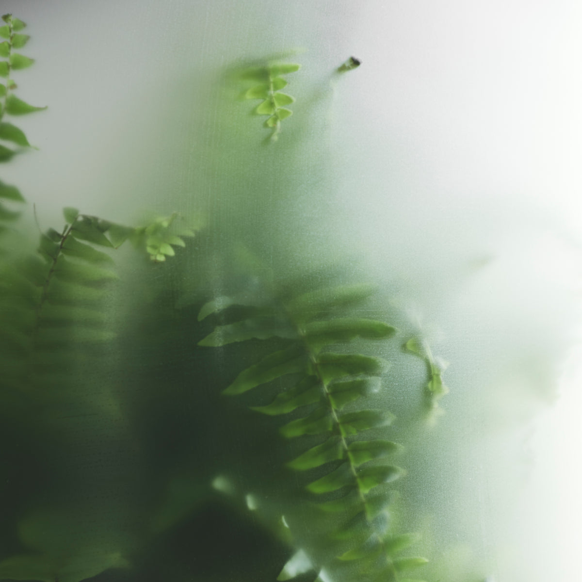 NEBL grote zwarte plantenbak