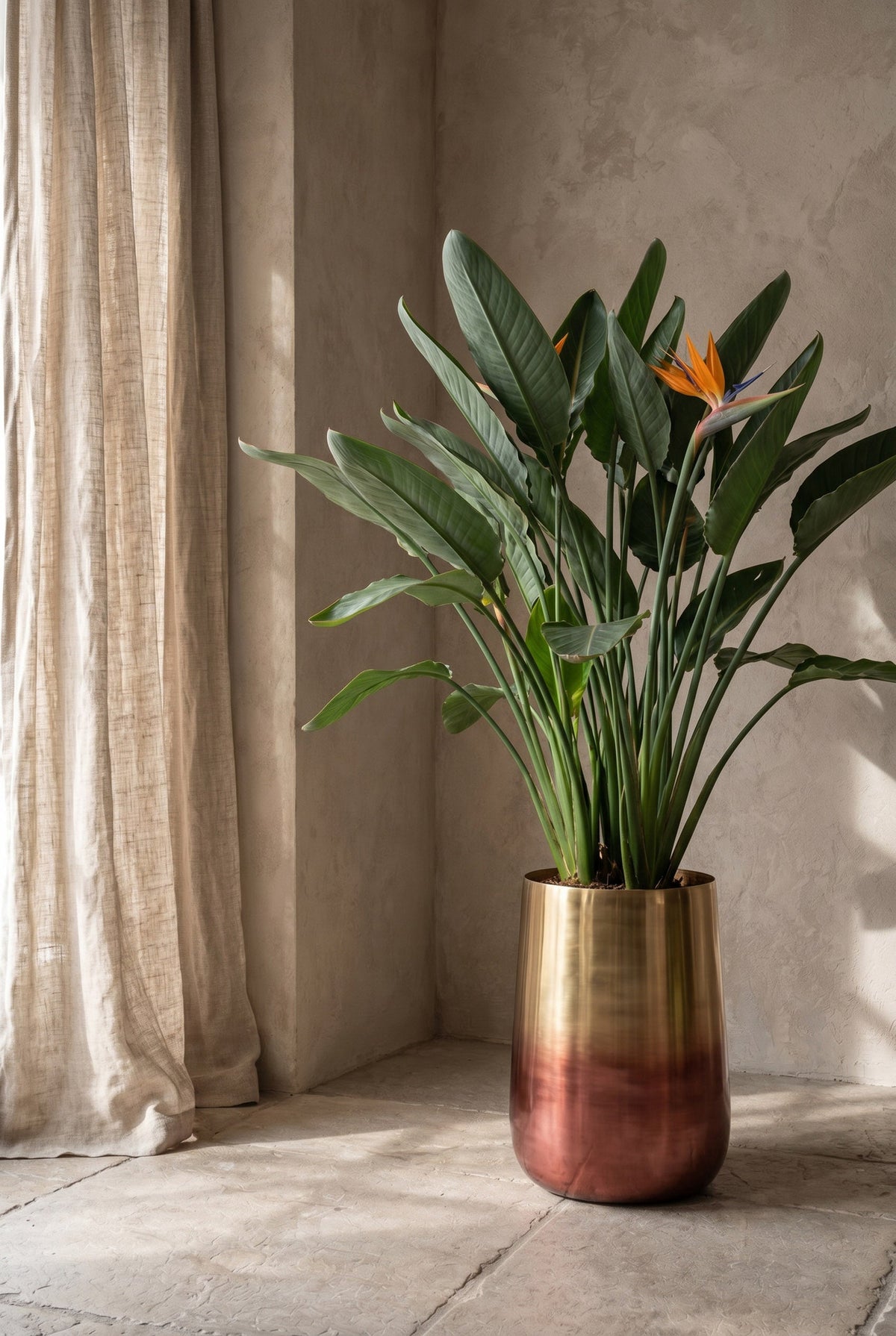 De tweekleurige messing plantenpot - Messing - XL