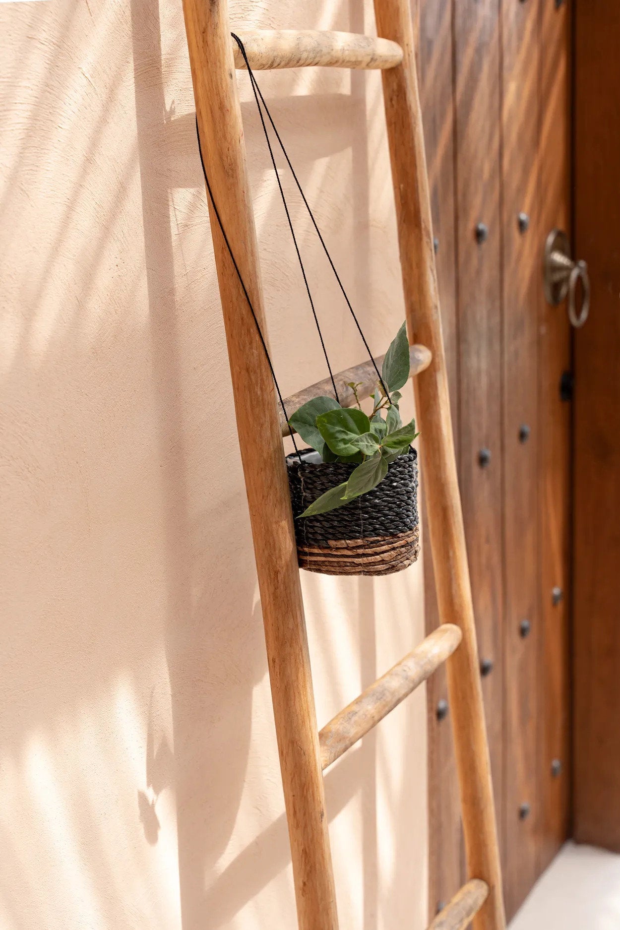 Hanger voor bananenplant - natuurlijk zwart - S