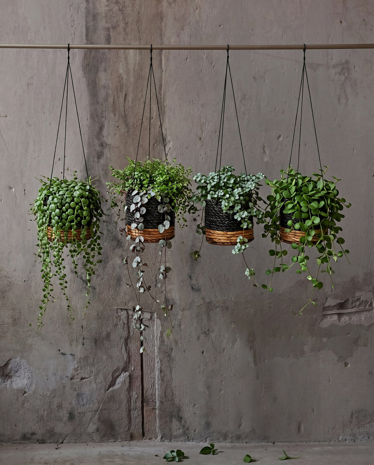 Hanger voor bananenplant - natuurlijk zwart - S