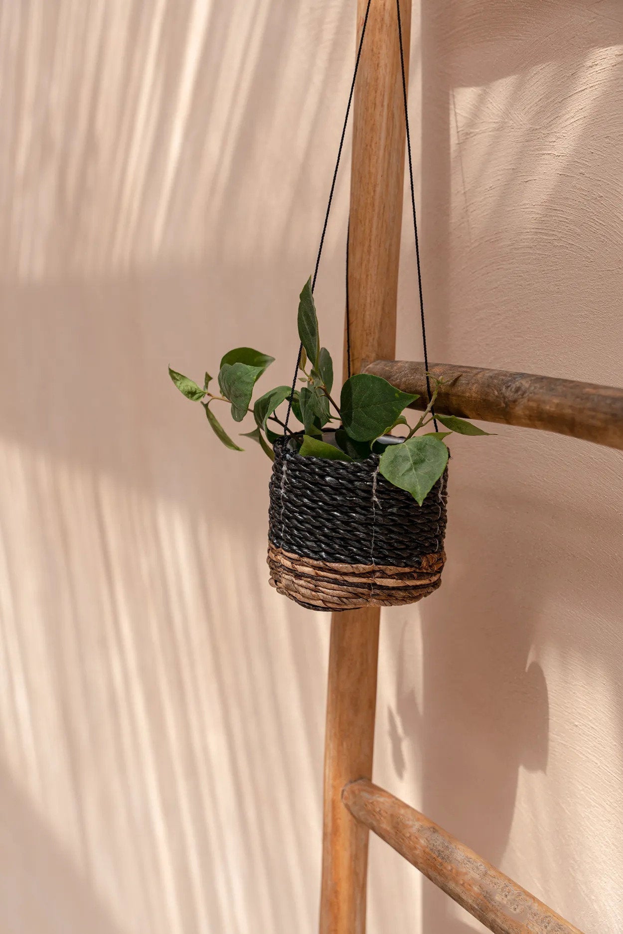 Hanger voor bananenplant - natuurlijk zwart - S