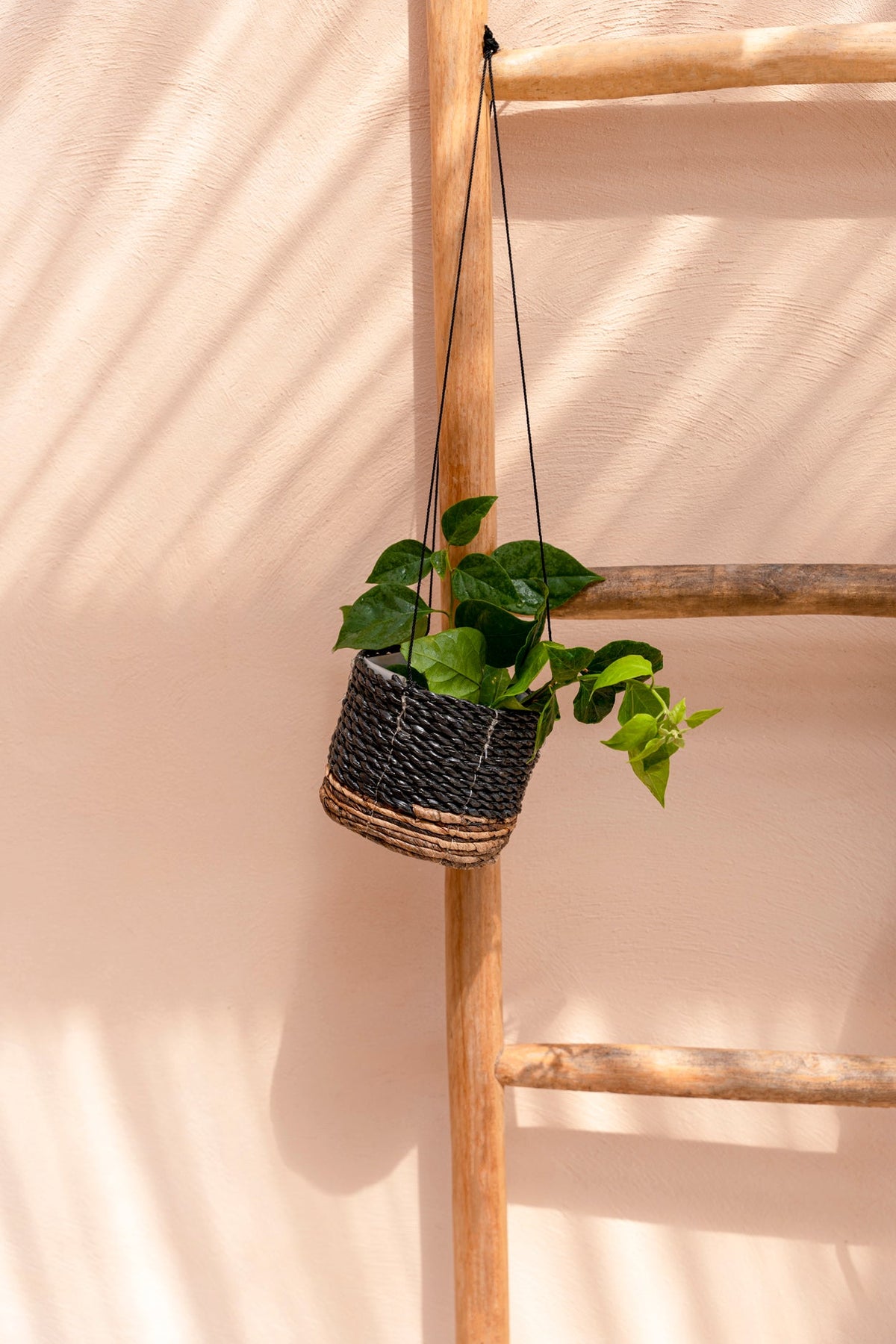 Hanger voor bananenplant - natuurlijk zwart - S