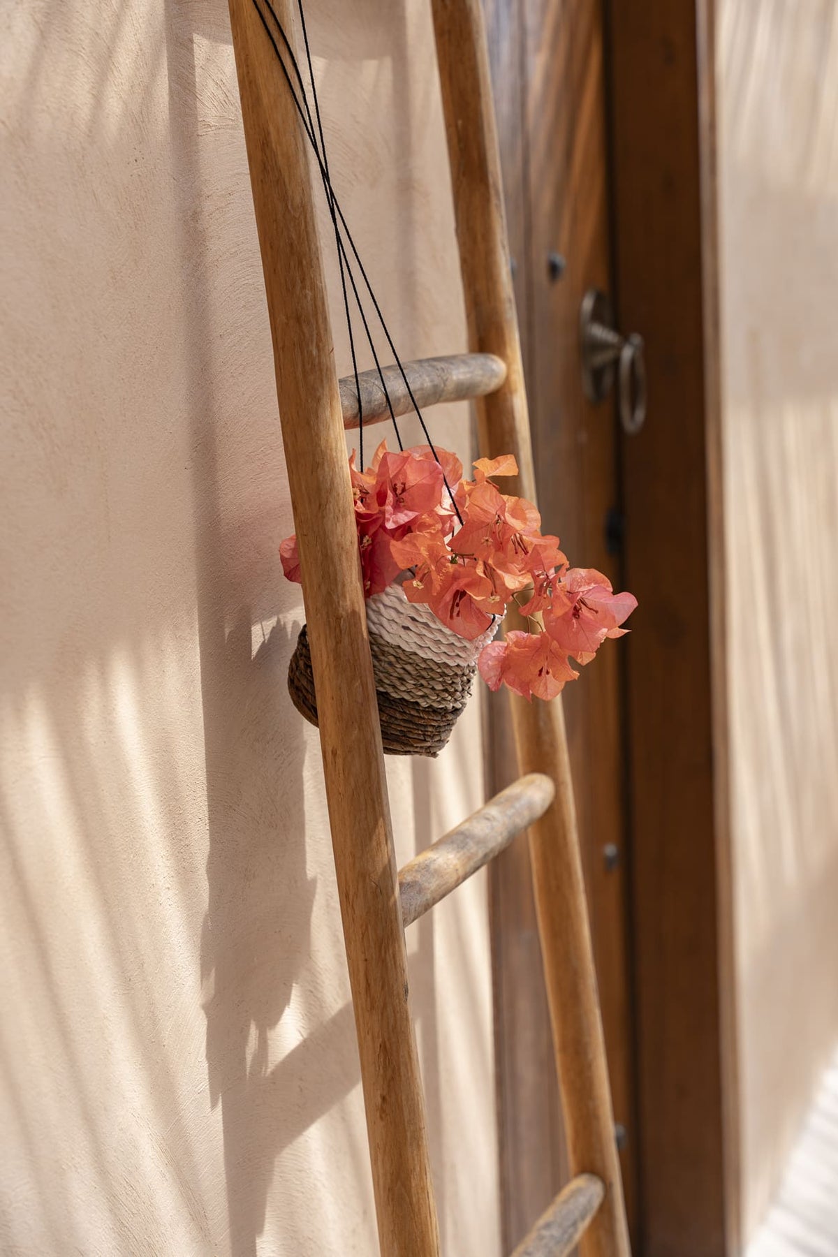 De bananenplantenhanger - natuurlijk wit - S