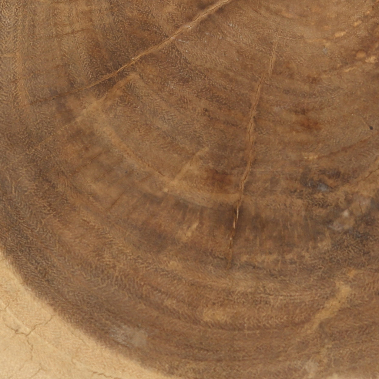 De Tribe-kruk - natuurlijk wit - bijzettafel