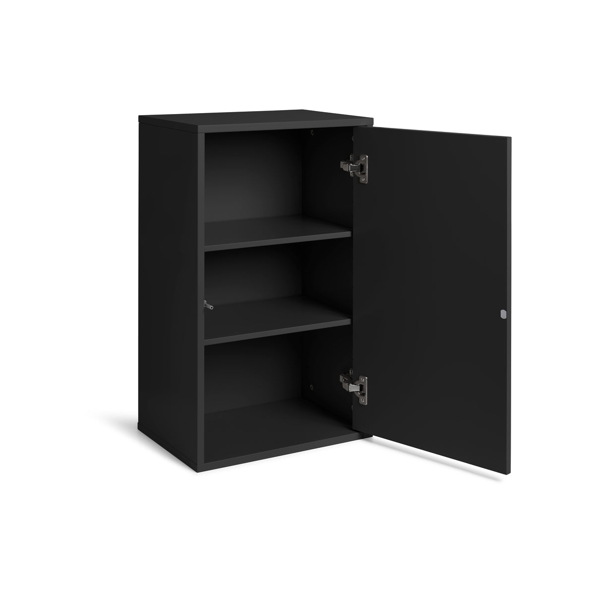 ReCollector Wandkast - Zwarte Raaf