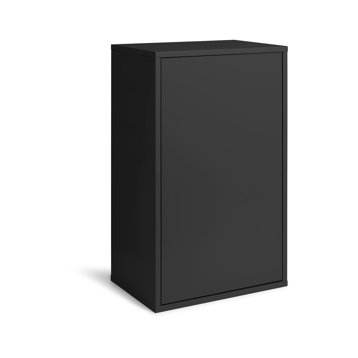 ReCollector Wandkast - Zwarte Raaf