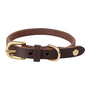 Robin hondenhalsband - klein