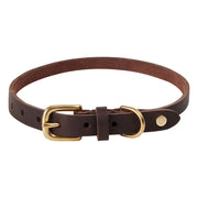 Robin hondenhalsband - middelgroot