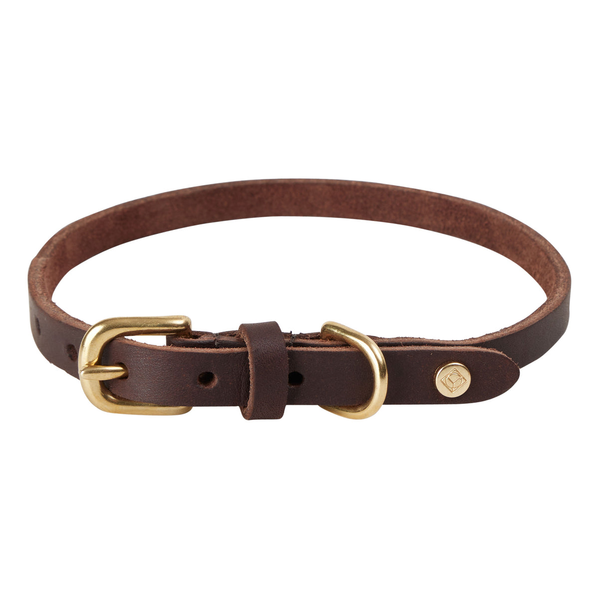 Robin hondenhalsband - groot
