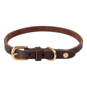 Robin hondenhalsband - groot