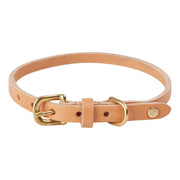 Robin hondenhalsband - Groot