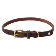 Robin Hondenhalsband - Extra Groot